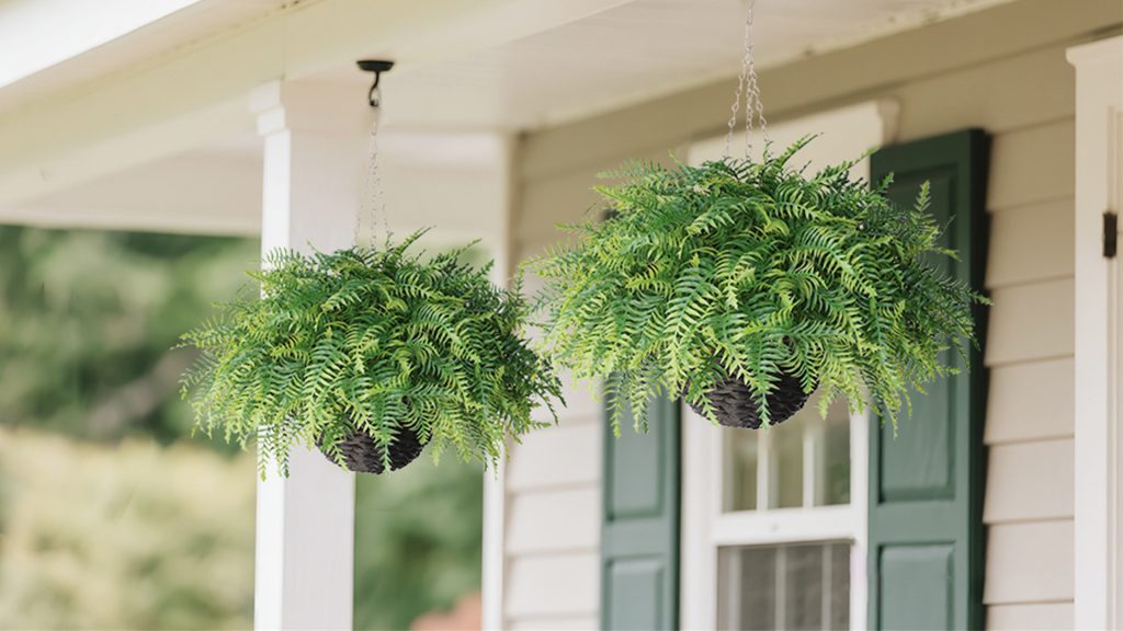 Suspend Hanging Baskets Full of Greenery